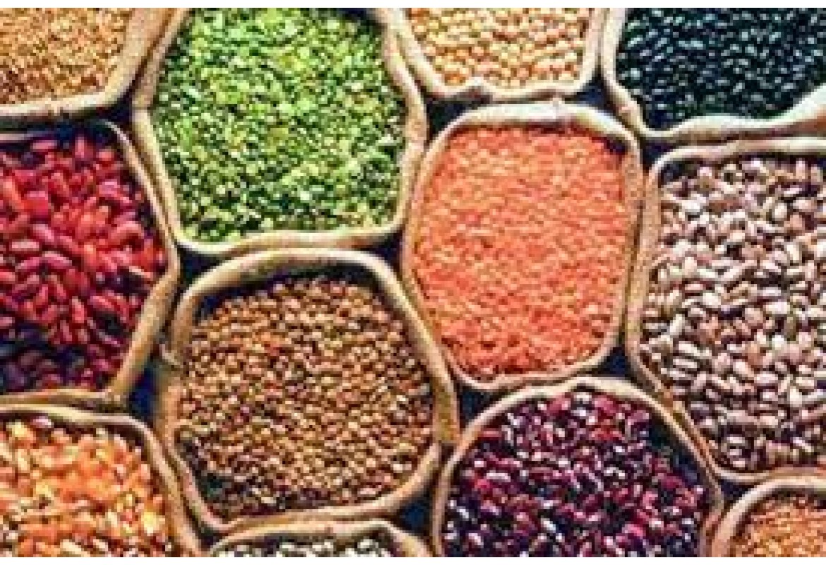 Pulses market chance more increase 200 rupees in coming days.